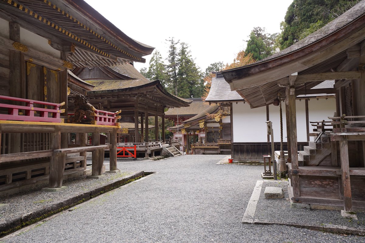 a storm in a teacup tweet media