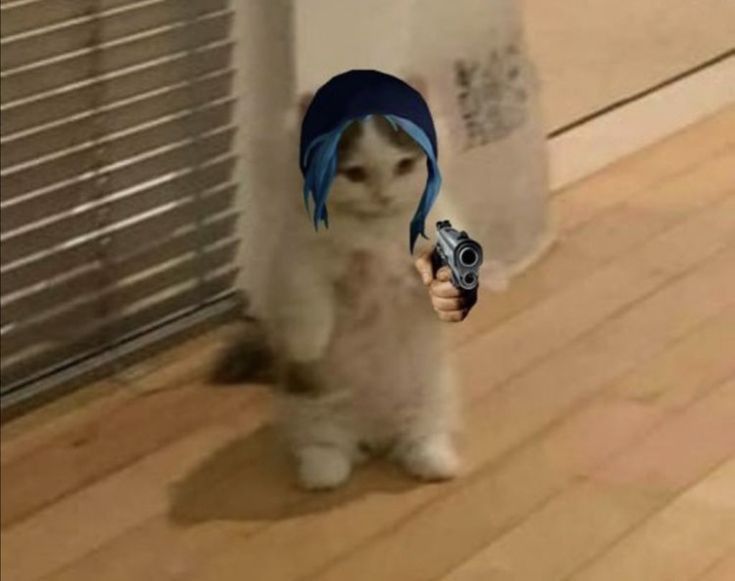 Jex⌛📷 tweet media