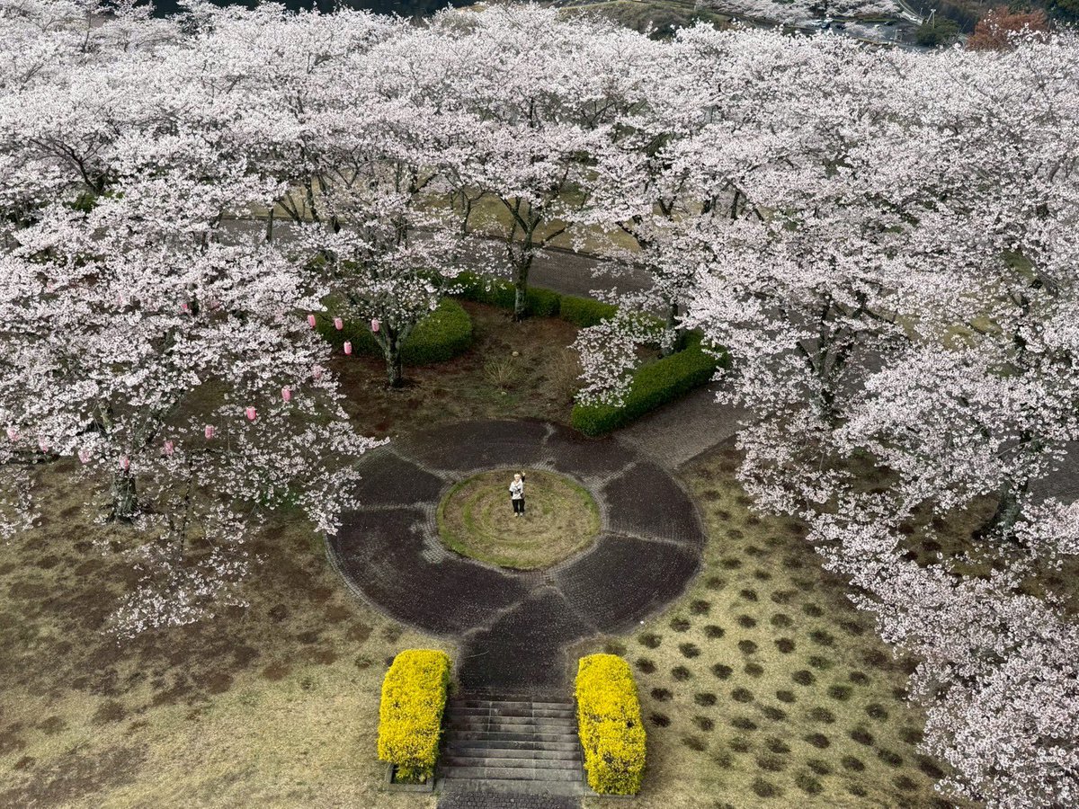 とも☻✧*｡ tweet media