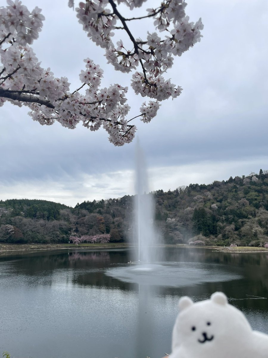 とも☻✧*｡ tweet media