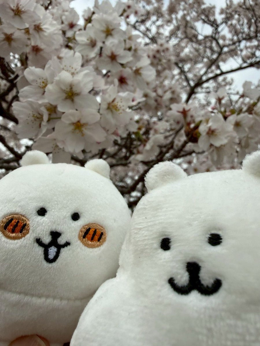 とも☻✧*｡ tweet media