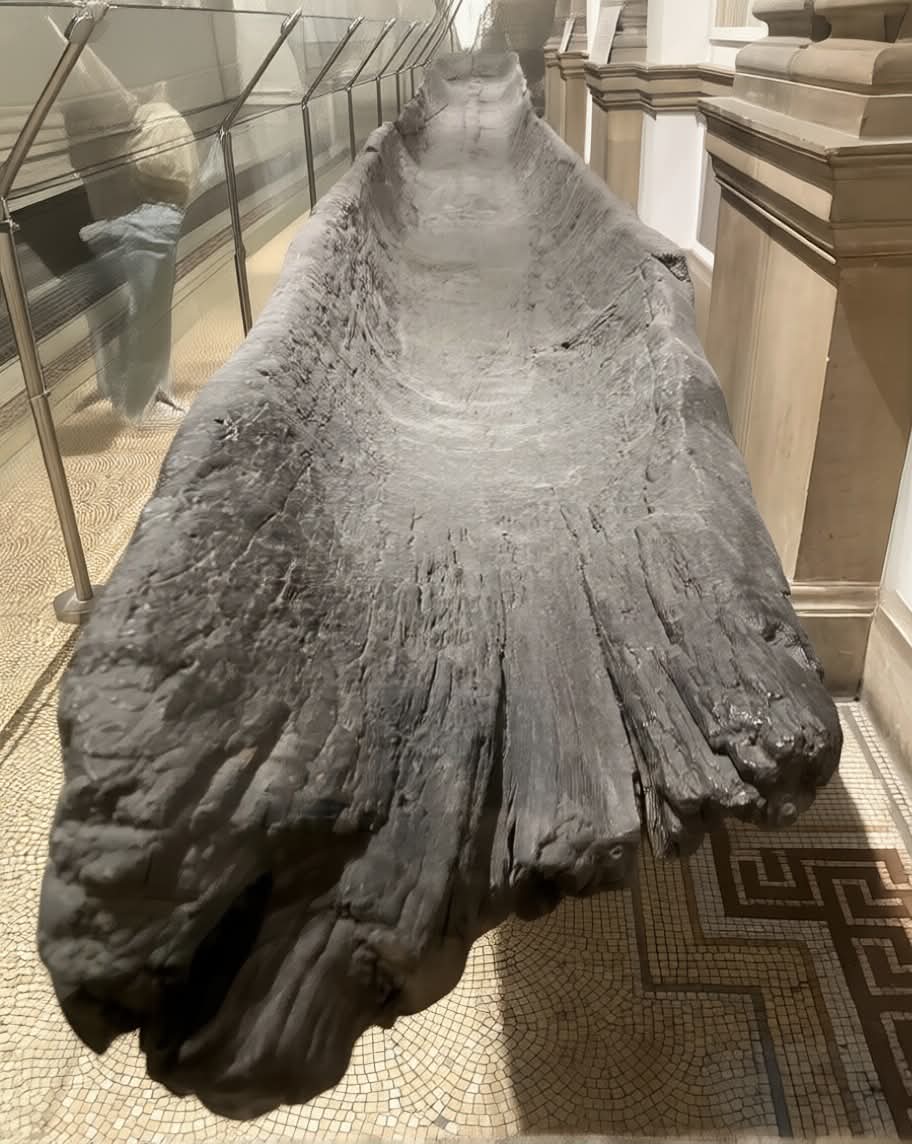 Unearthed 🏺 tweet media