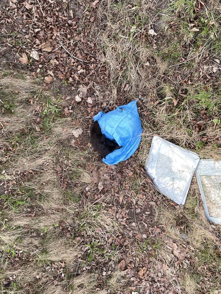 Robwalka Wolf tweet media