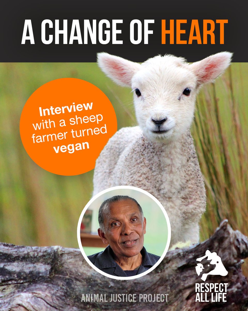 AnimalJusticeProject tweet media