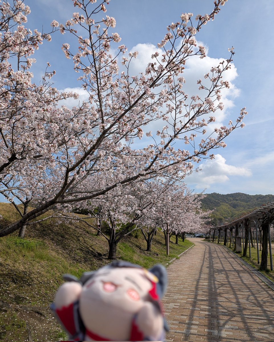 ミンチ tweet media