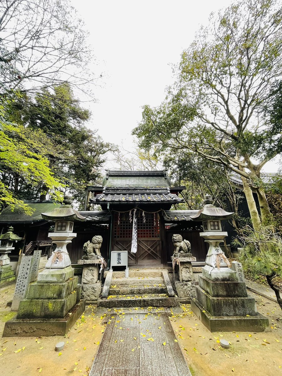 ももの御朱印 tweet media