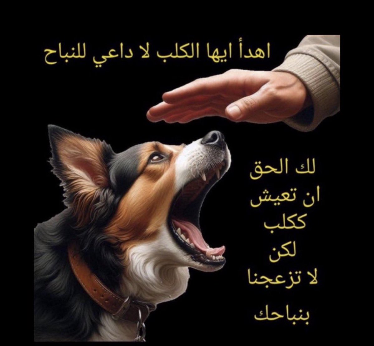 ASMAA ALZAABI tweet media