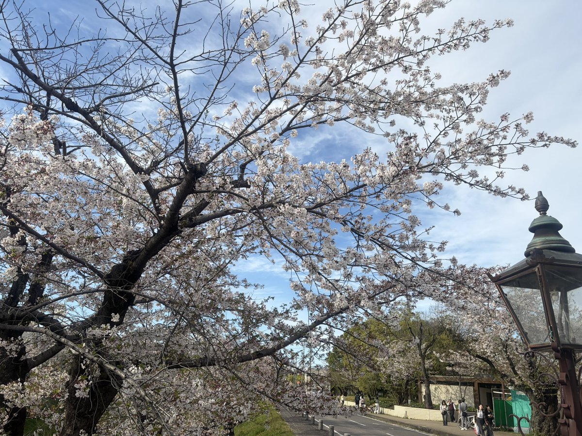 らむち tweet media