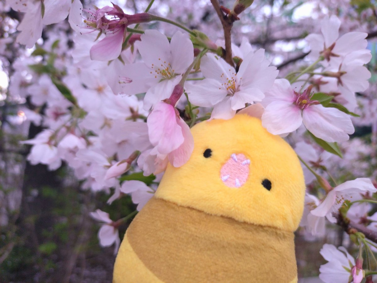 The Great Serpent Shrine tweet media