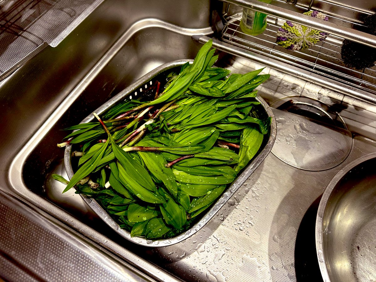 コン♪@黄色 tweet media