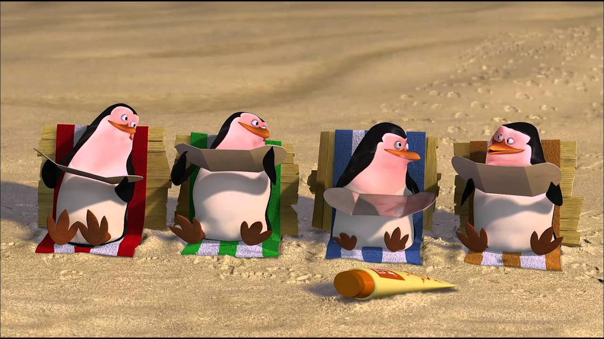 DEPOSITO DA PAVIN tweet media