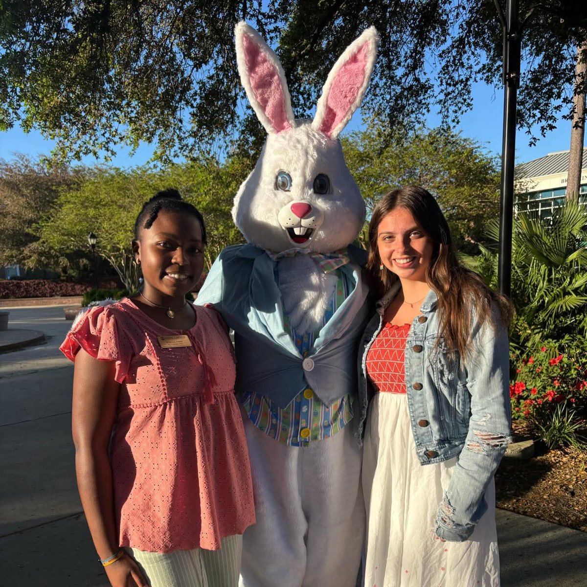 Spadoni College of Education & Social Sciences tweet media