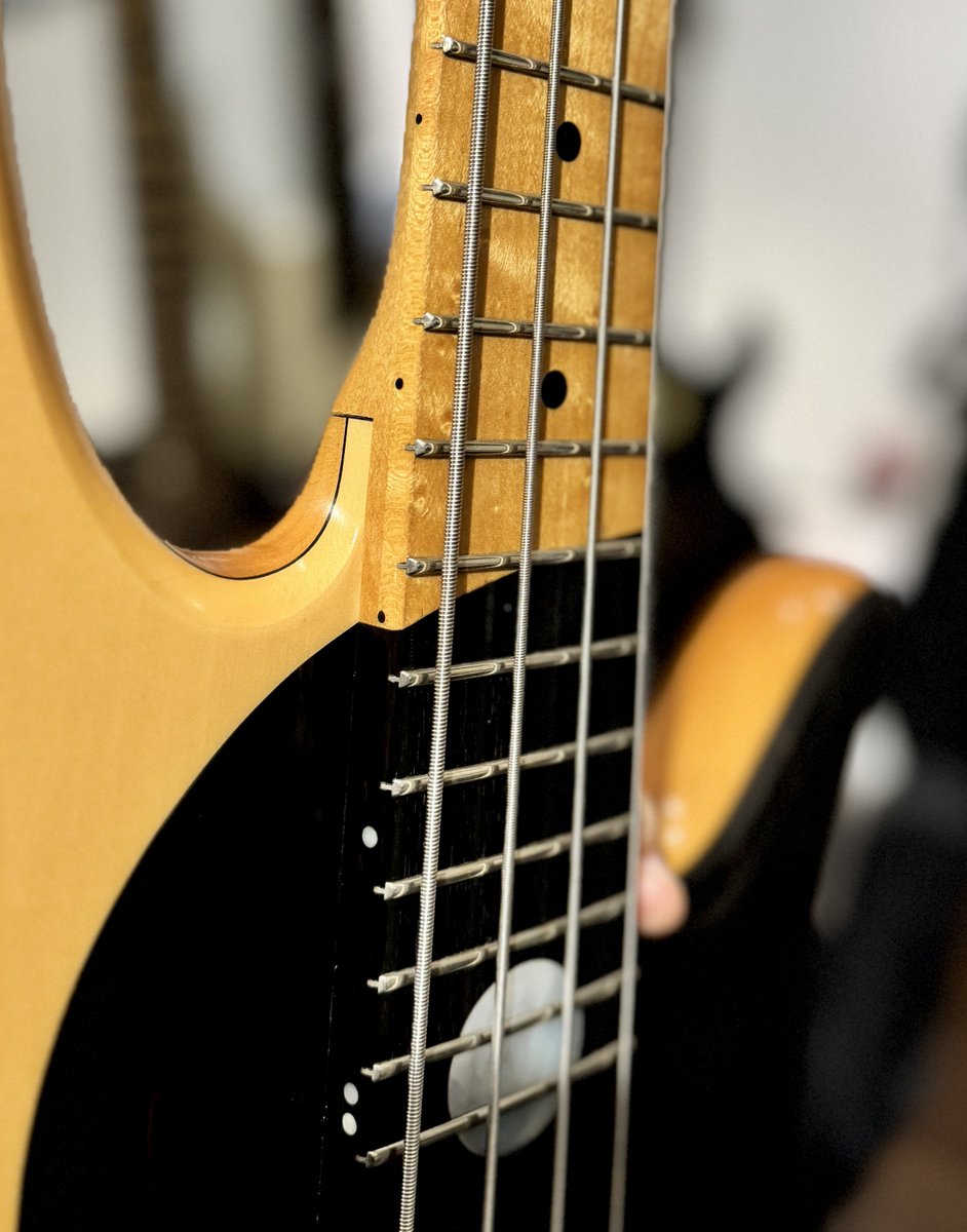 bigboss629's tweet image. ネットで調べても同じタイプの情報が全然出ないベース😂
指板の組み合わせ(塗装ではない)とか裏の窪み方とかボディの丸みとかやっぱりすき

#bass
#fodera