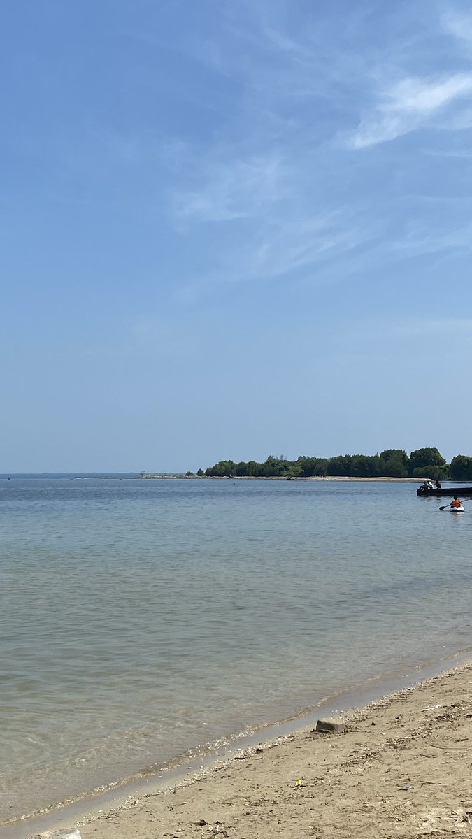 • Niki tweet media