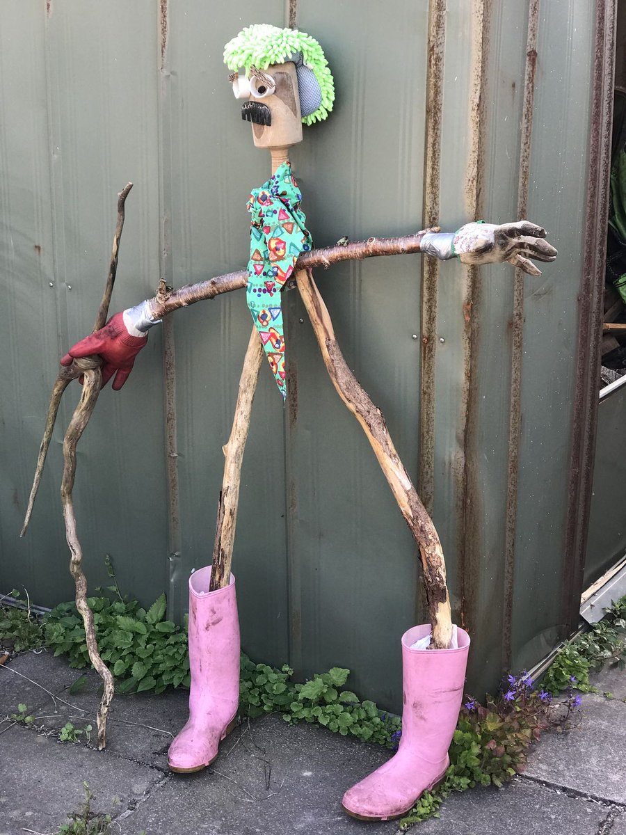 Anibal Litvin tweet media