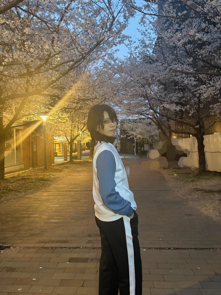 春野はる👓 tweet media