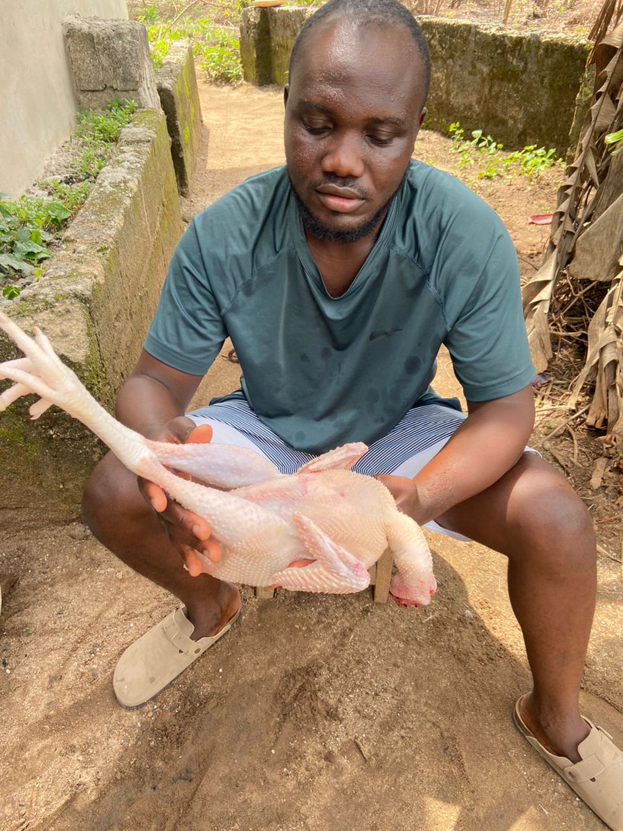 this cock thought were besties until I put knife for the neck 😂 😂

Happy Easter my people
