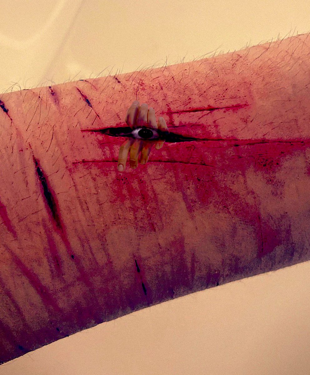 kiro 🪖🏩|| shtwt tweet media