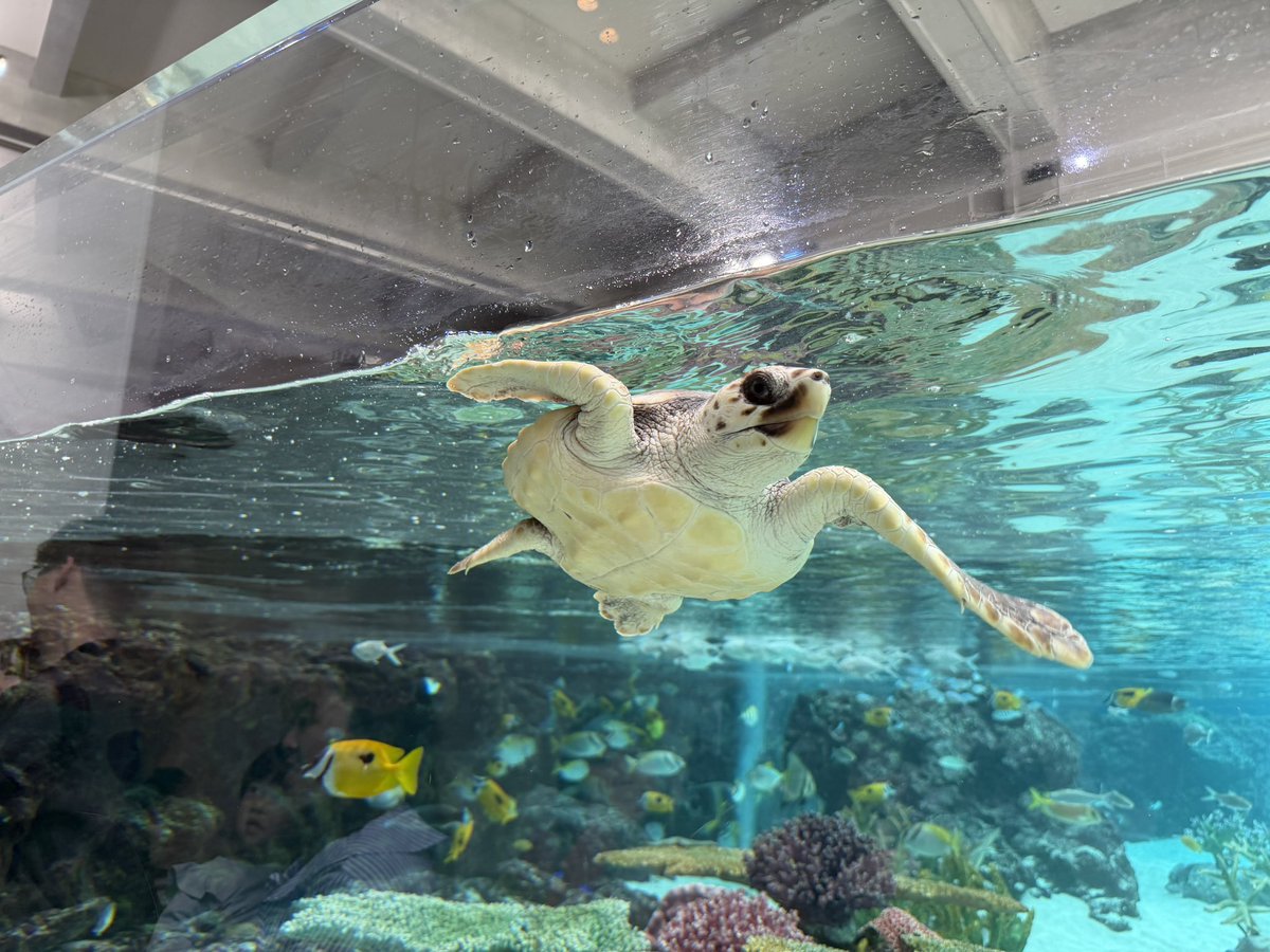 ゆき❄️ tweet media