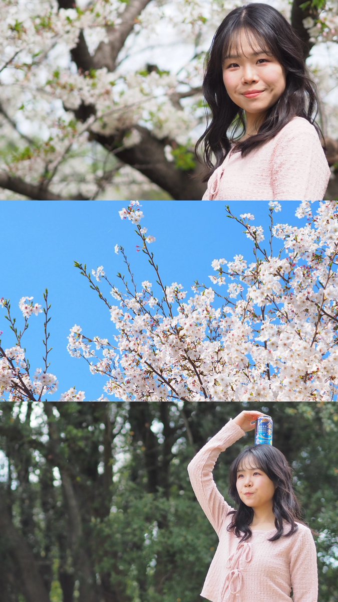 山下真実 tweet media