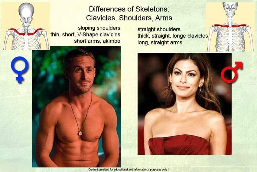 Jannetjejo tweet media