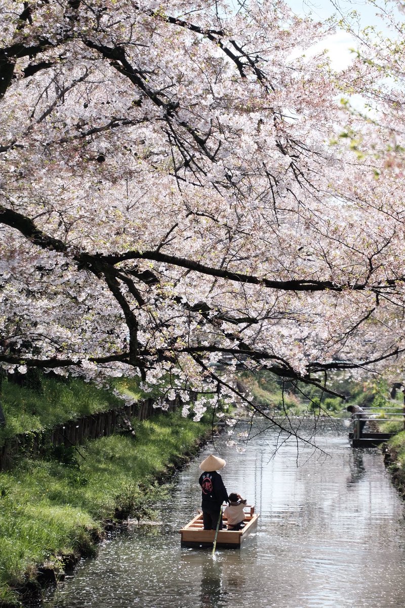 ざわわ@埼玉県市町村巡り tweet media