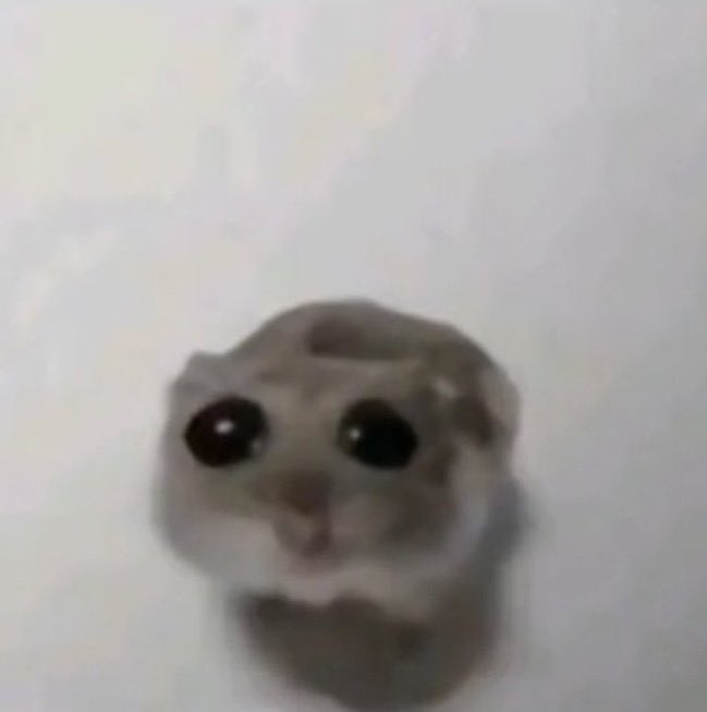 G🐈‍⬛ 911 spoilers!💫 tweet media