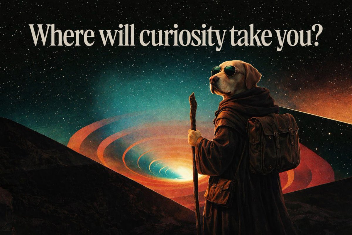 Just wondering… ✨🪄