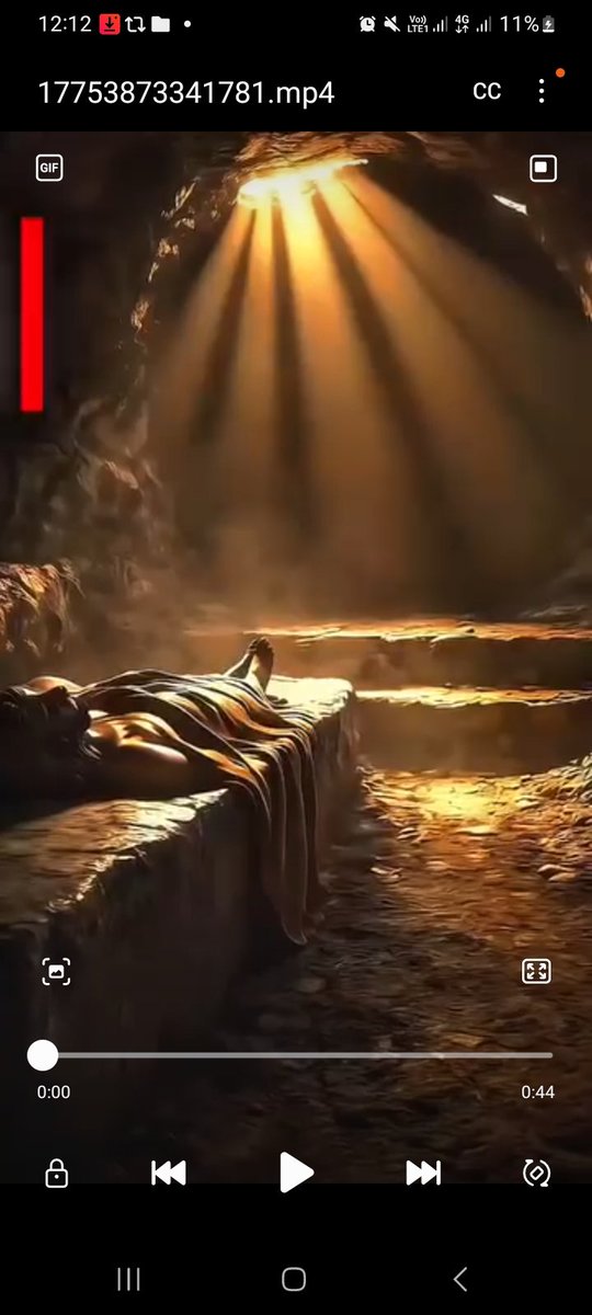 MalrisDaily tweet media