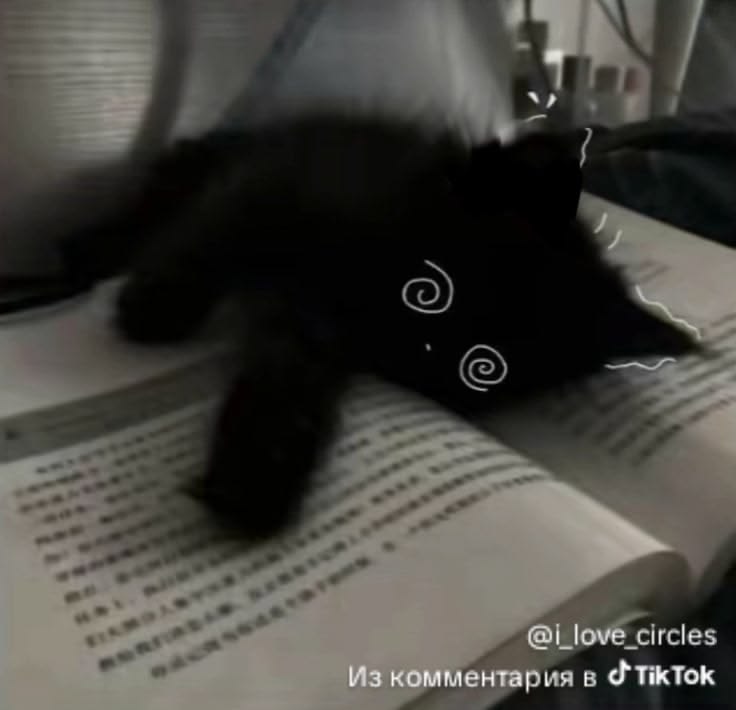 이하진 tweet media