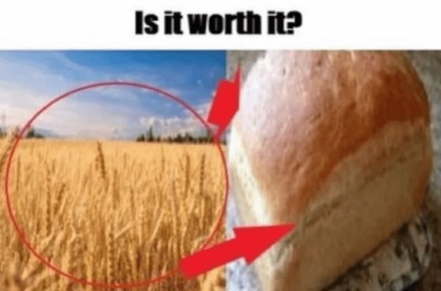 literal memes tweet media