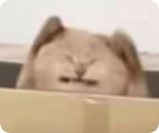 安格丶雷蒙德 tweet media