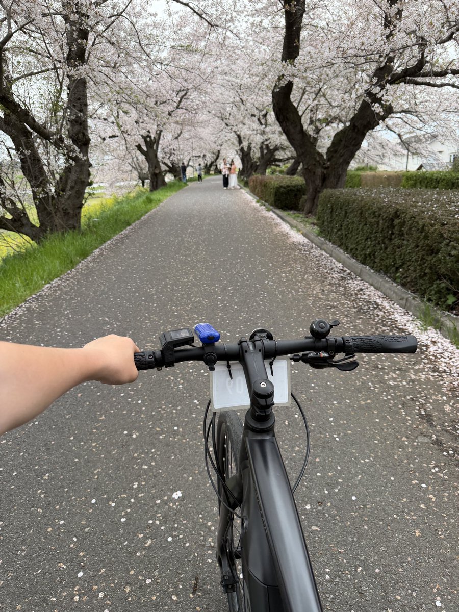 ふう@撮影依頼受付中 tweet media