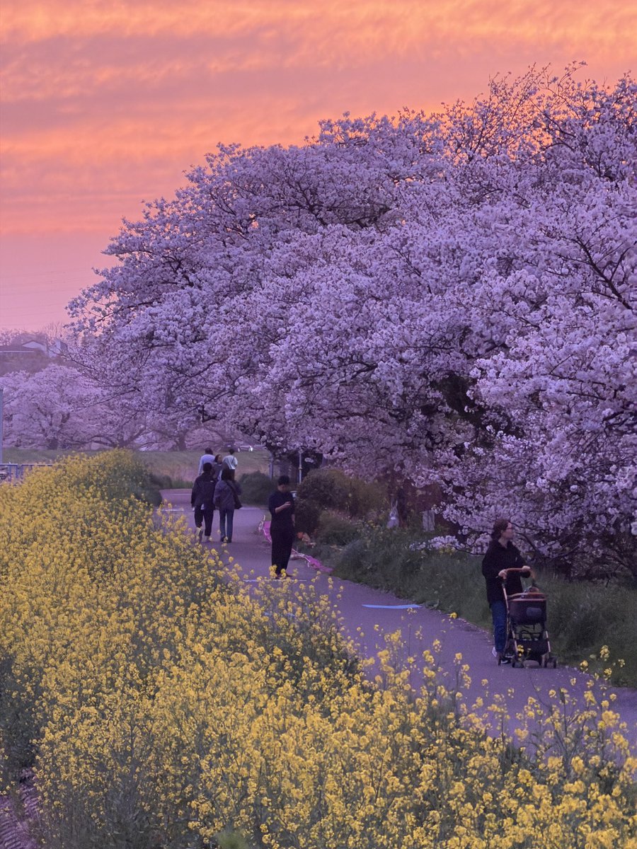 ふう@撮影依頼受付中 tweet media