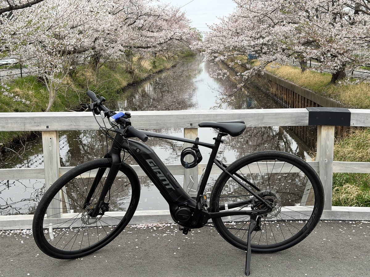 ふう@撮影依頼受付中 tweet media