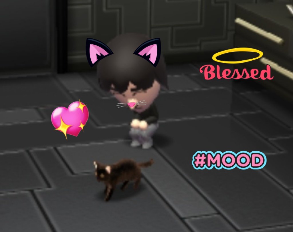 candyGirl 🍭🍭🧁🍩🩷🎀 tweet media