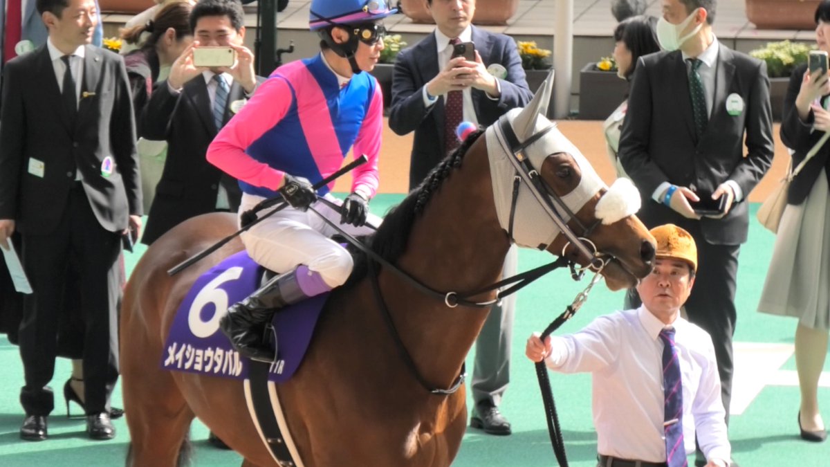 芦馬りか tweet media