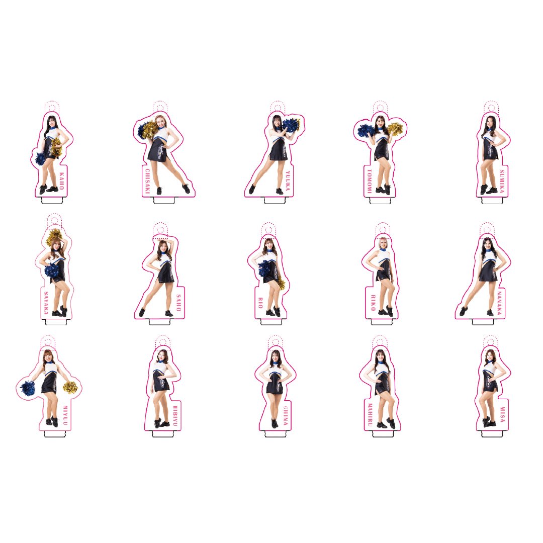 シーホース三河グッズ情報 tweet media