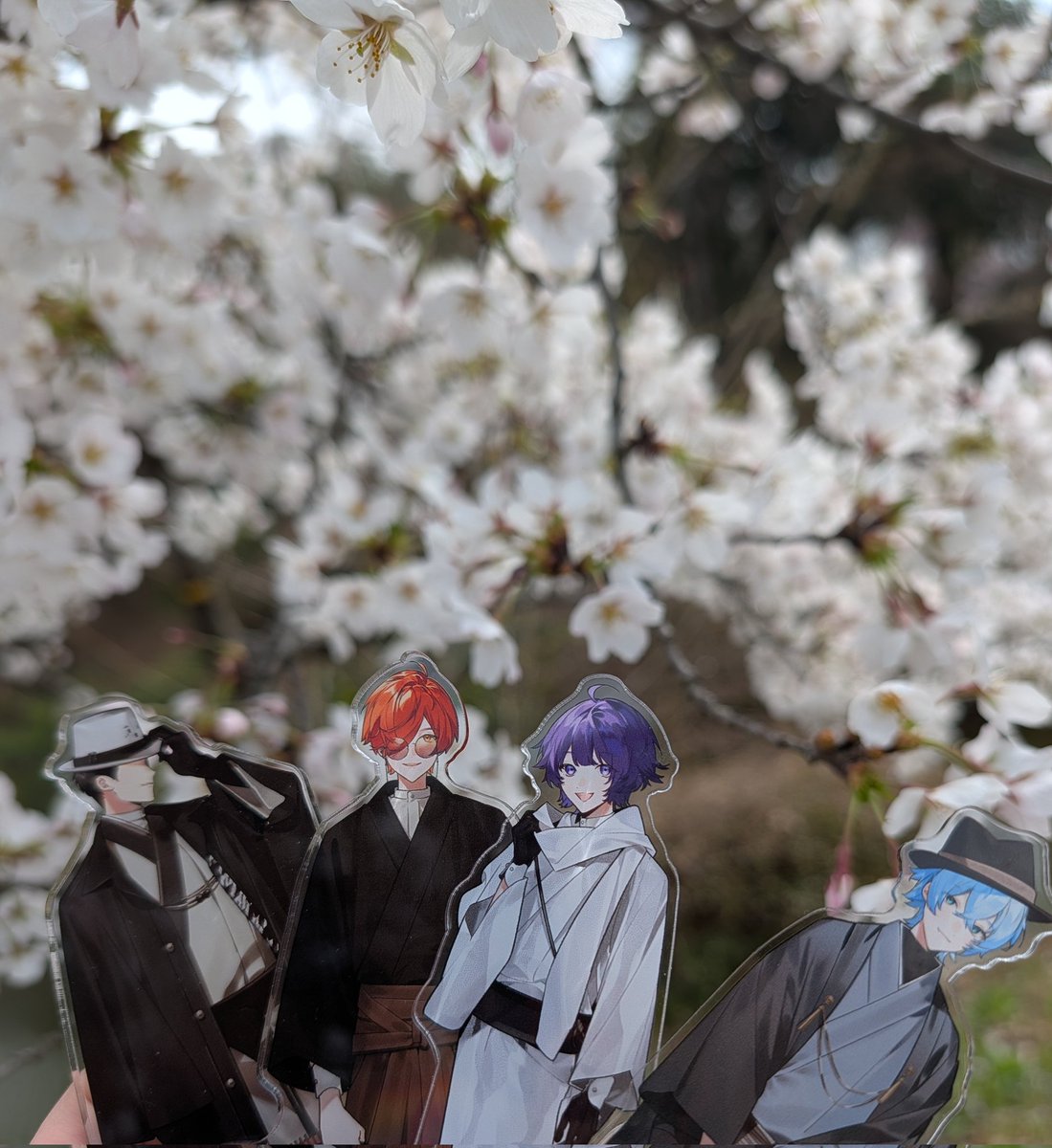 ぬたうなぎ tweet media