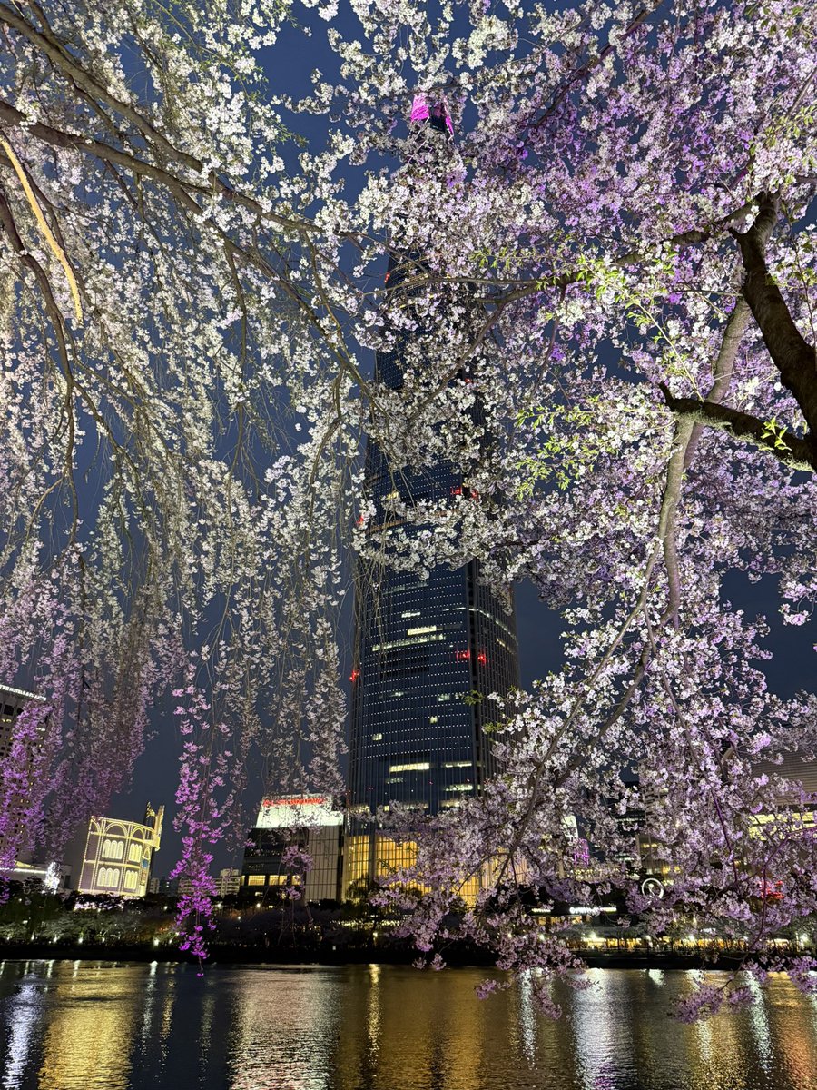 최애는7명차애는아미 tweet media