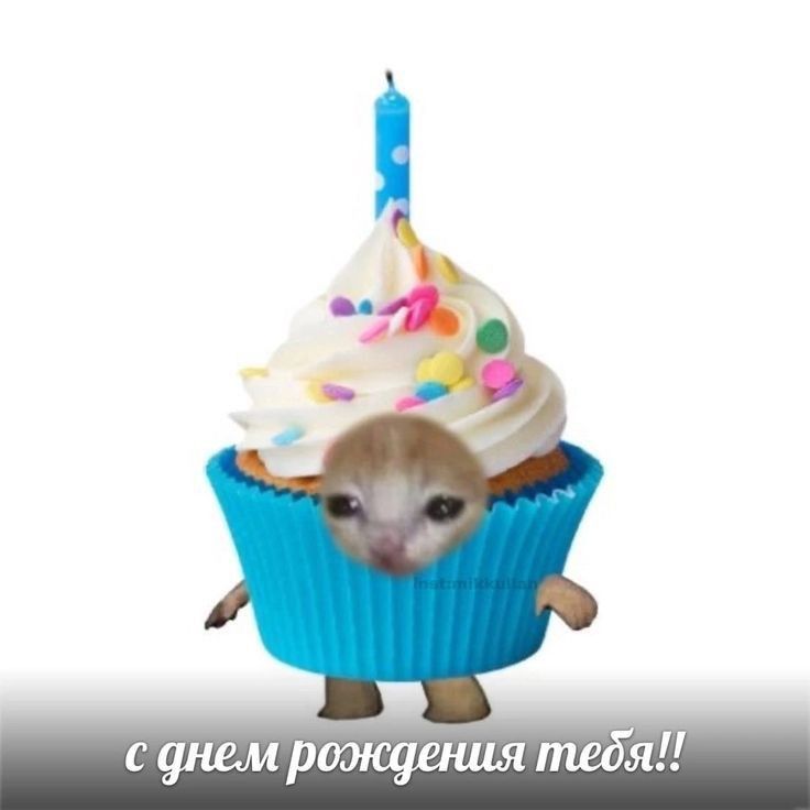 Невдуплёныш Безя tweet media