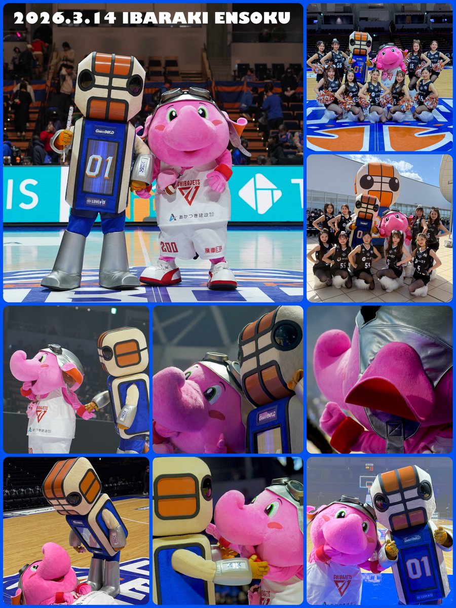 【公式】ジャンボくん(千葉ジェッツ) tweet media