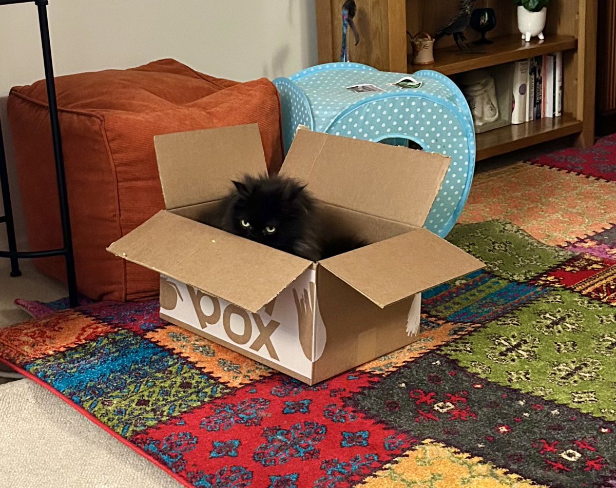 Doris McFloofle tweet media