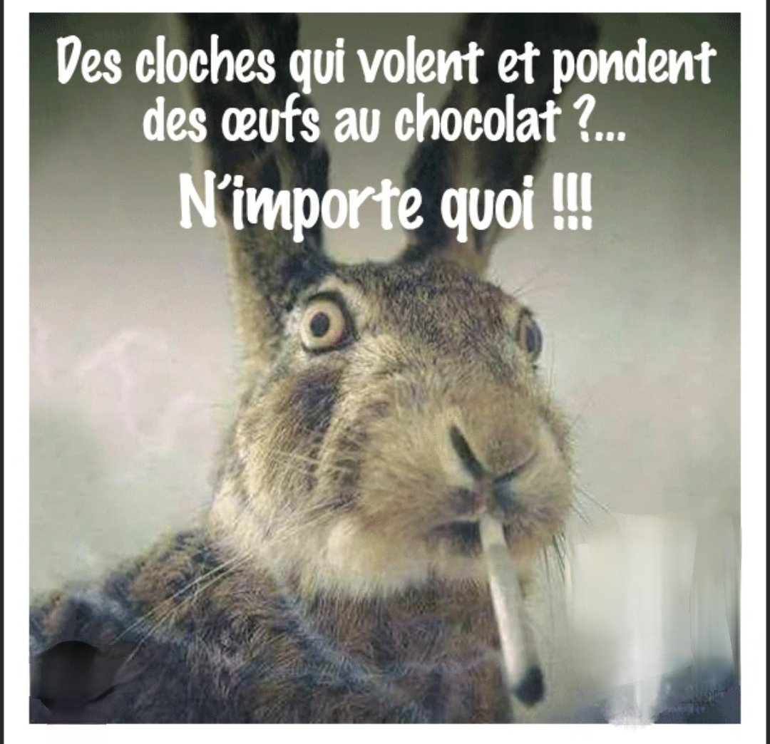 PhAntoine2015's tweet image. Bonjour tout le monde 🌞🐰🔔🤗🌹🤪😘