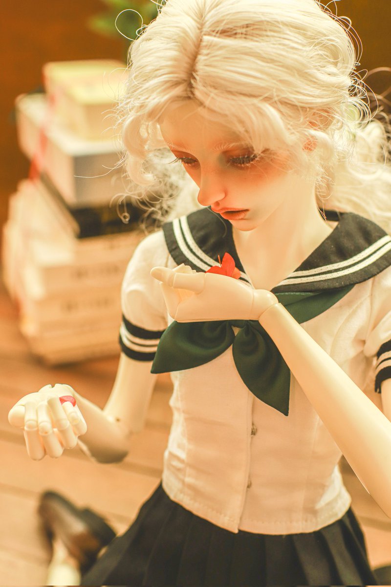 코타즈 tweet media