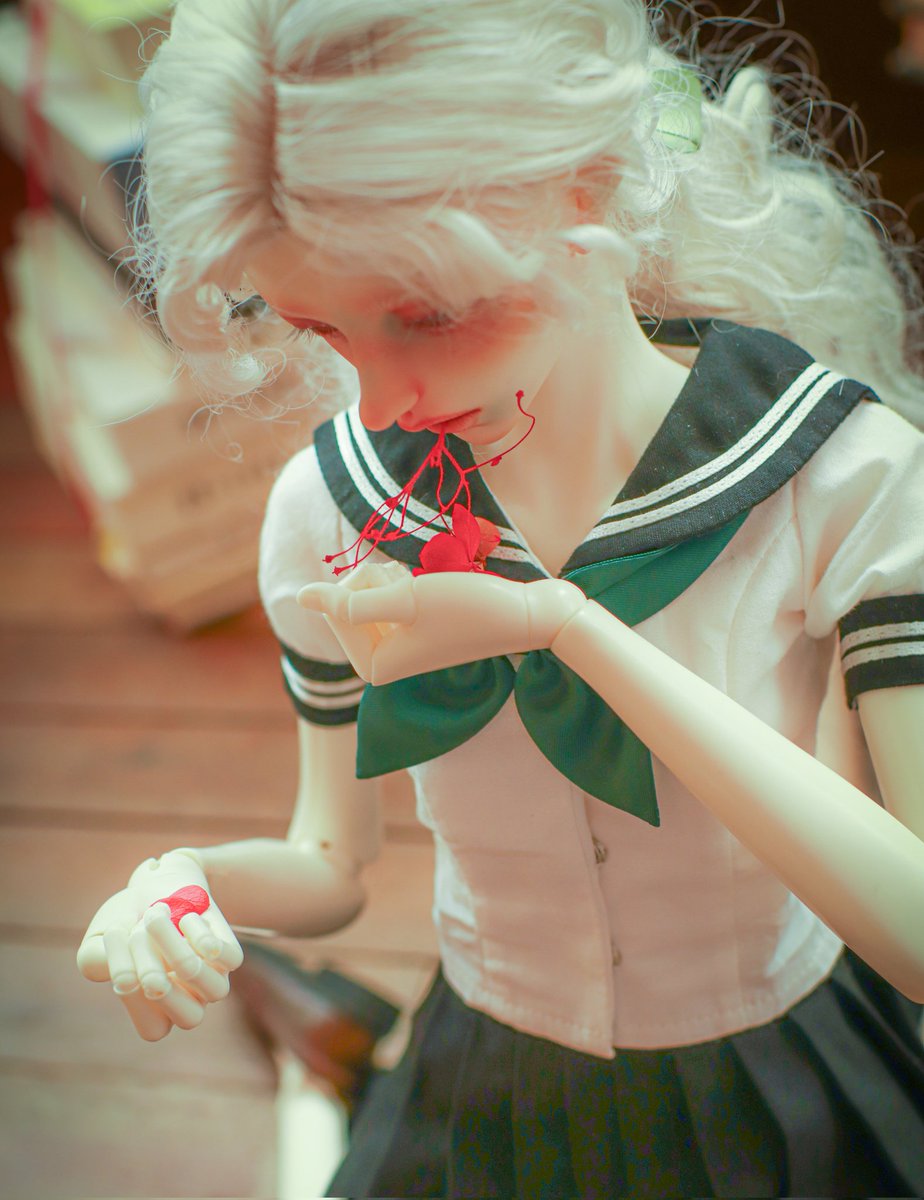 코타즈 tweet media