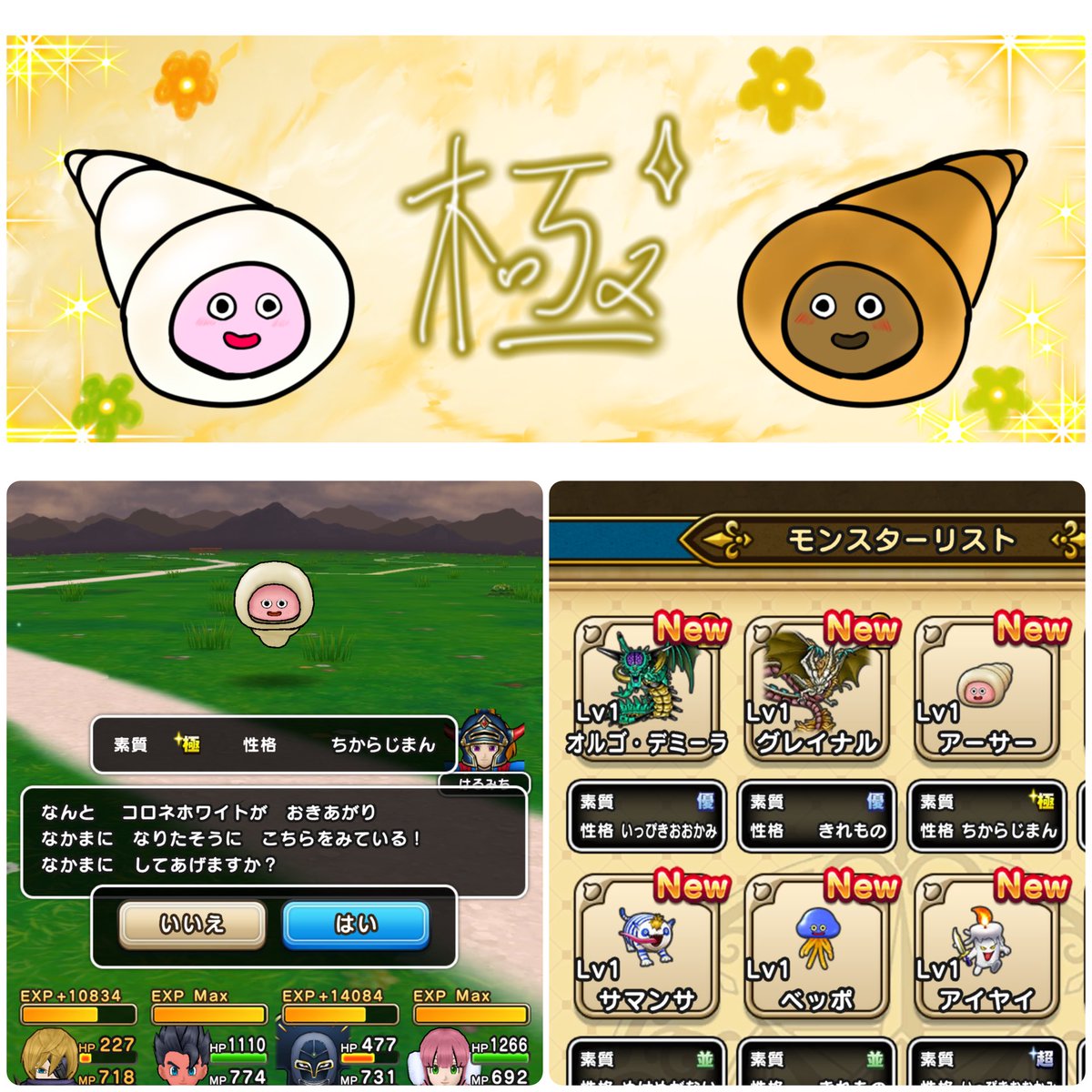 ゆっキー@DQWじぇんとる’ず🎩 tweet media