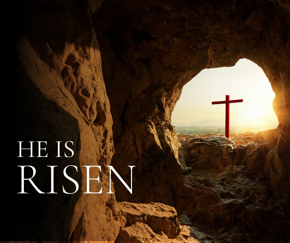 AMG International tweet media