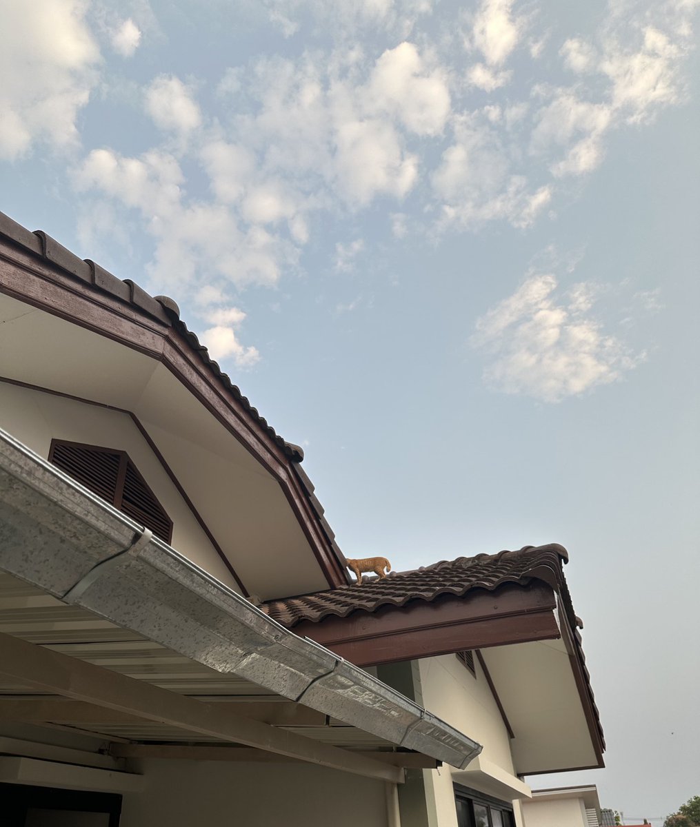 ขึ้นไปหาโคตรแม่มันเร้ออออ