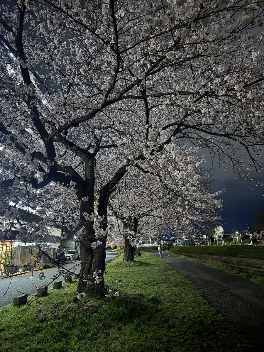 ノムーの霜精 tweet media